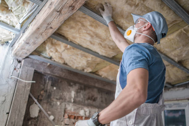 Best Insulation Maintenance and Repair in Marcus Hook, PA